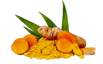 Curcuma
