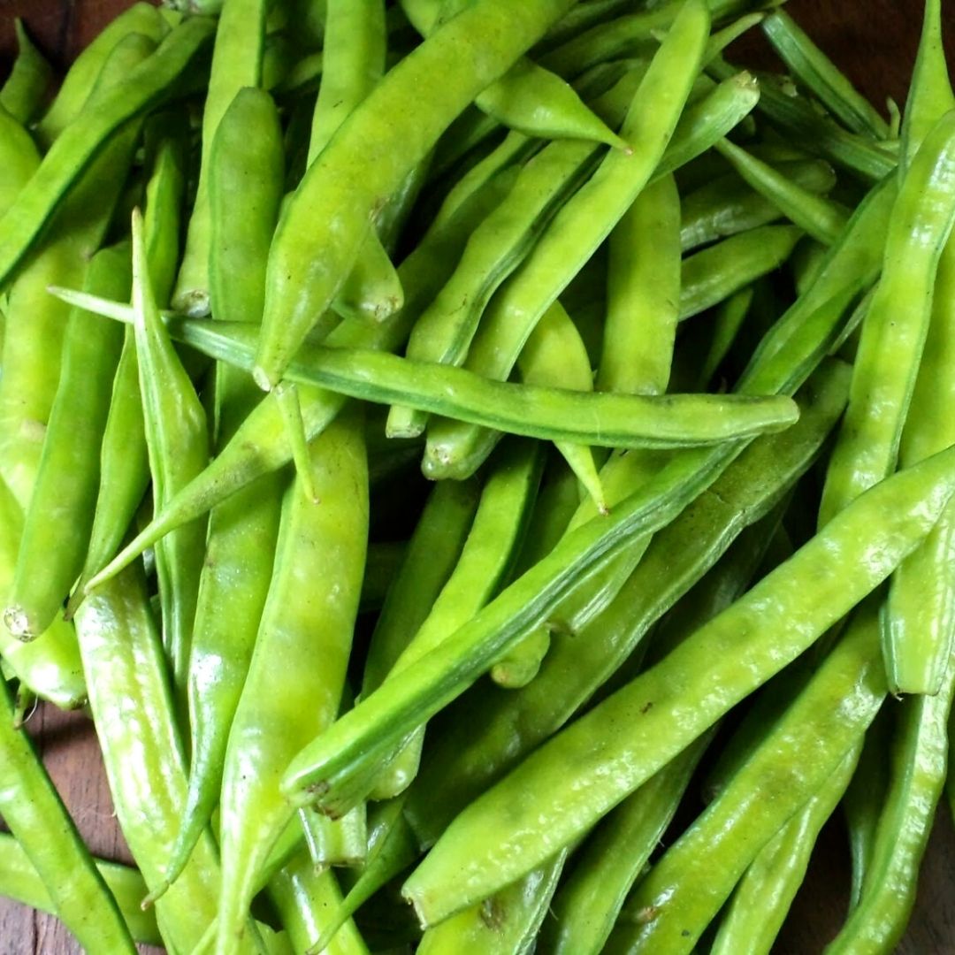 fibra-gomma.jpg